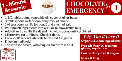 Chocolate Emergency 1 Minute Brownie (GF/DF/Vegan)